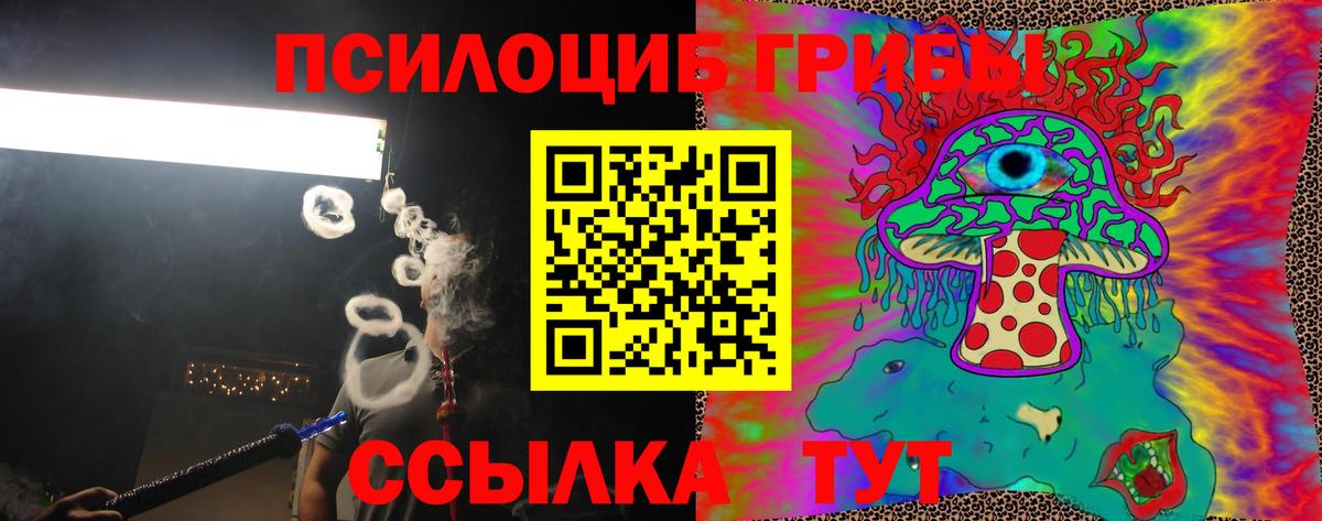 Галлюциногенные грибы мицелий Новодвинск